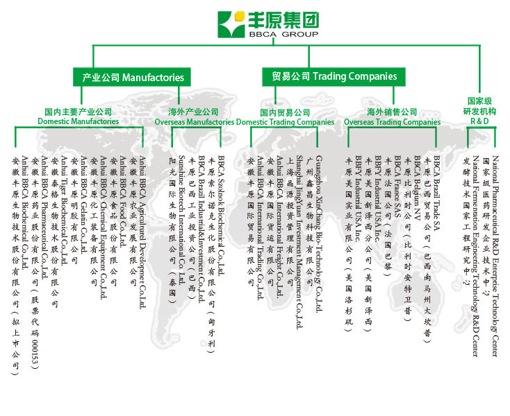 集團(tuán)組織機構(gòu)-含泰國